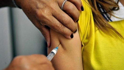 vacinação_febre amarela