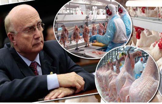 Coreia do Sul veta frango brasileiro e União Europeia barra importação