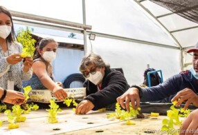 Chileno cria projeto para facilitar acessibilidade no campo