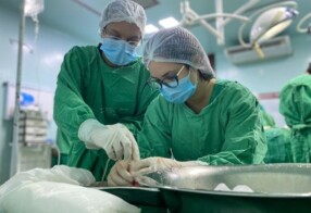 Central de Transplantes da Paraíba registra aumento de 90% nas doações de órgãos em 2024