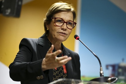 A ministra da Agricultura, Pecuária e Abastecimento, Tereza Cristina, durante o lançamento da Câmara da Cerveja. 