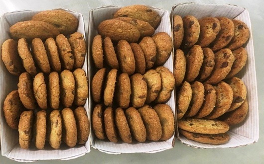 biscoitos de cacto
