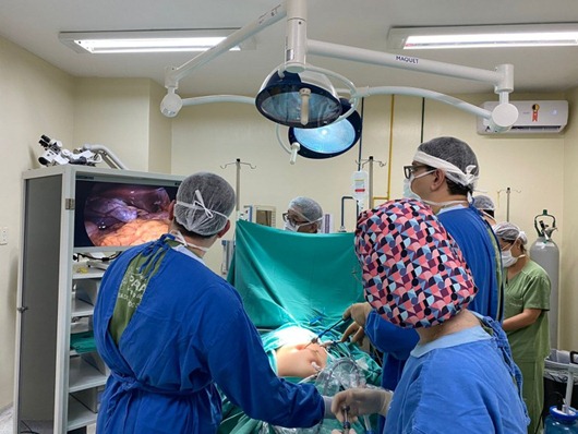 cirurgia por videolaparoscopia