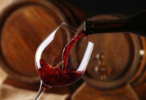 Estudo pré-clínico da UFPB utilizando ratos pesquisa benefícios do consumo moderado de vinho tinto no sistema cardiovascular